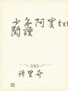 少年阿宾txt阅读封面