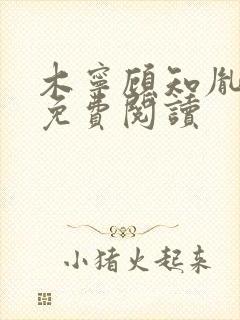 木宁顾知胤小说免费阅读