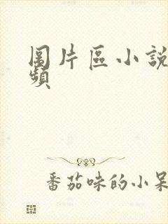 图片区小说区视频