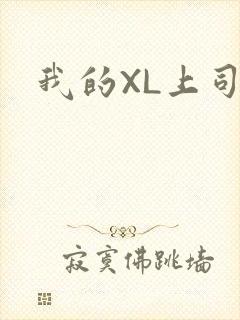 我的XL上司