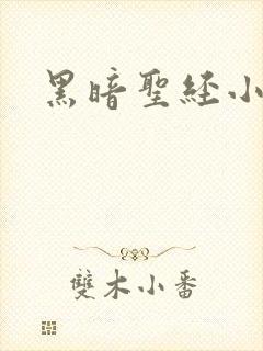 黑暗圣经小说