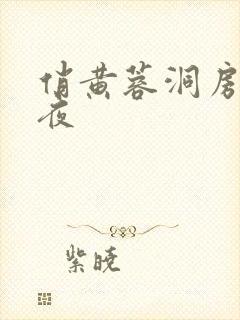 俏黄蓉洞房花烛夜