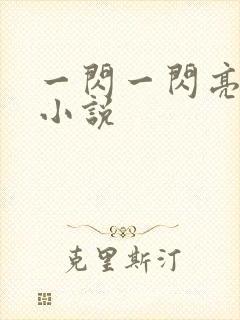 一闪一闪亮星星小说