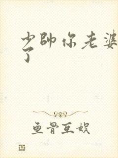 少帅你老婆又跑了