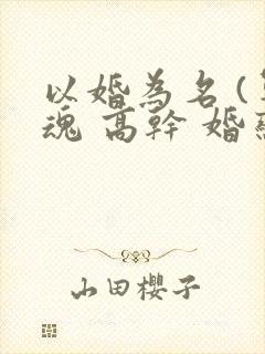以婚为名 (军魂 高干 婚恋)封面