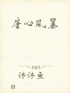 唐心风暴