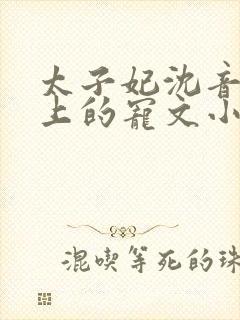 太子妃沈音和皇上的宠文小说