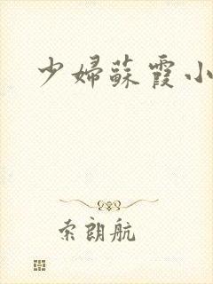 少妇苏霞小说封面