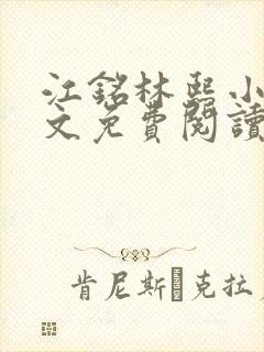 江铭林熙小说全文免费阅读封面