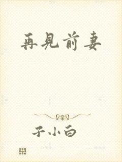 再见前妻