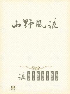 山野风流封面