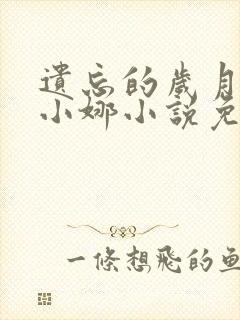 遗忘的岁月老林小娜小说免费阅读