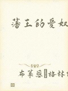 藩王的爱奴