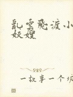 乱云飞渡小说之姣嫂