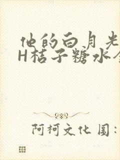 他的白月光HVH桔子糖水全文