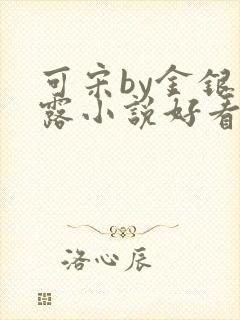 可宋by金银花露小说好看吗
