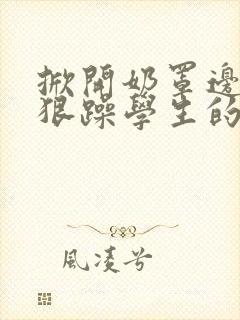 掀开奶罩边躁狠狠躁学生的小文字