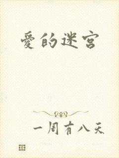 爱的迷宫封面