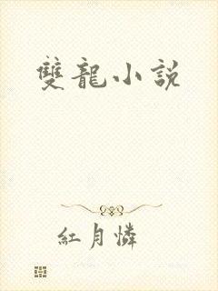 双龙小说