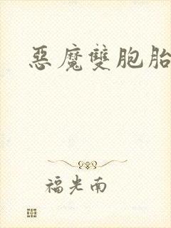恶魔双胞胎