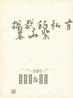 总裁的私有宝贝 暮山紫封面