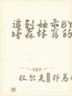 追到她乖BY黑暗森林写的小说