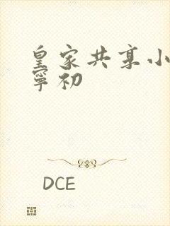 皇家共享小公主宁初