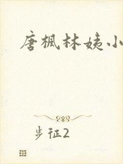 唐枫林姨小说