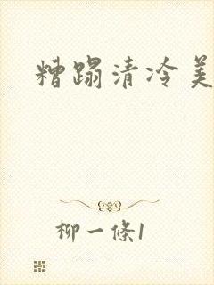 糟蹋清冷美人封面