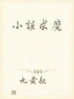 小说求魔封面