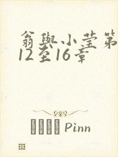翁与小莹第十部12至16章