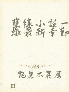 孽缘小说一家乱炖最新章节阅读