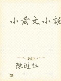 小黄文小说