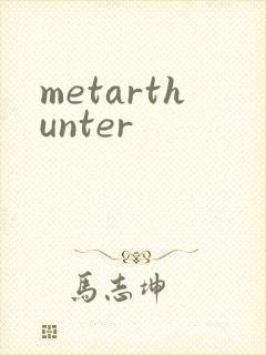 metarthunter封面