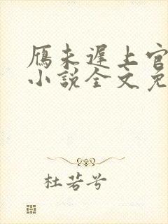 雁未迟上官穿越小说全文免费阅读封面