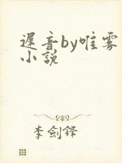 迟音by唯雾的小说封面