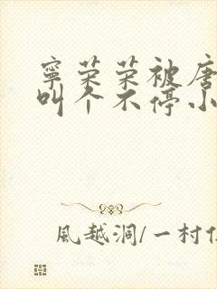 宁荣荣被唐三桶叫个不停小说