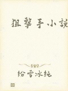 狙击手小说