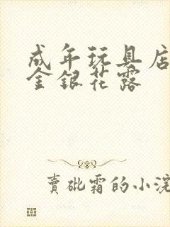 成年玩具店by金银花露封面