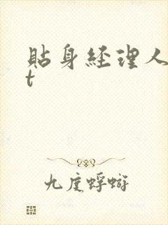 贴身经理人txt