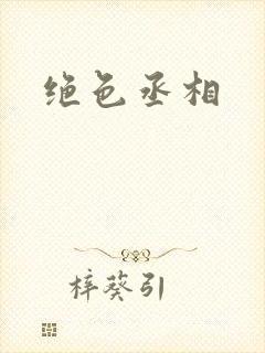 绝色丞相封面