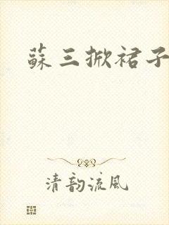 苏三掀裙子封面