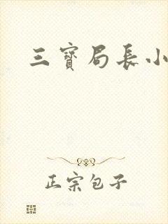 三宝局长小说