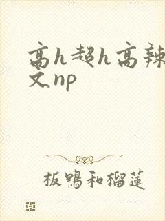 高h超h高辣h文np