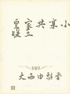 皇家共享小公主暖玉封面
