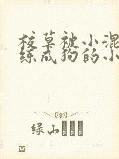校草被小混混训练成狗的小说封面