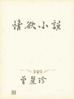 情欲小说封面