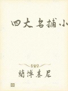 四大名捕小说