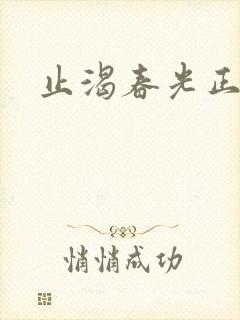 止渴春光正好封面