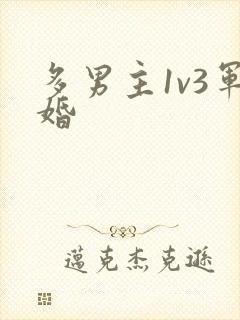 多男主1v3军婚